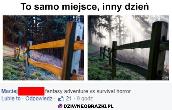 Fajne zdjęcia