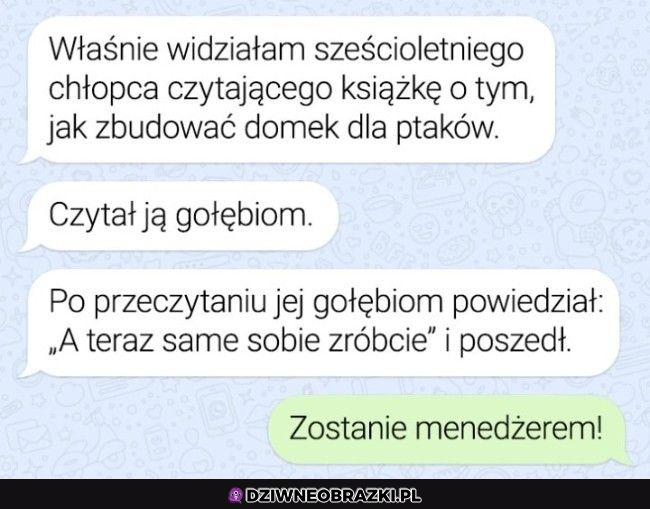 Przynajmniej wytłumaczył im, co i jak