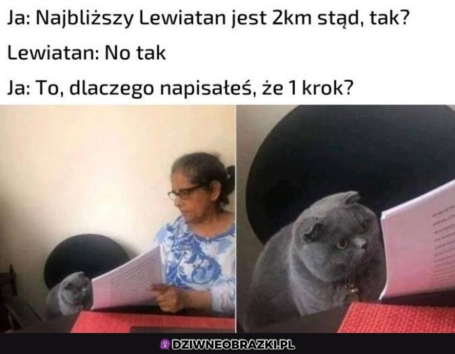 Jeden krok