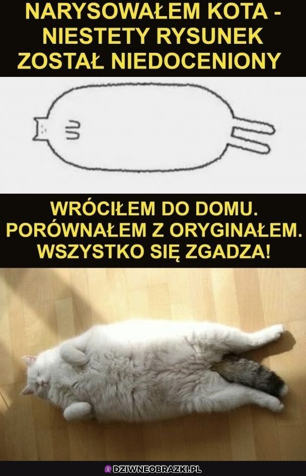 Wszystko się zgadza