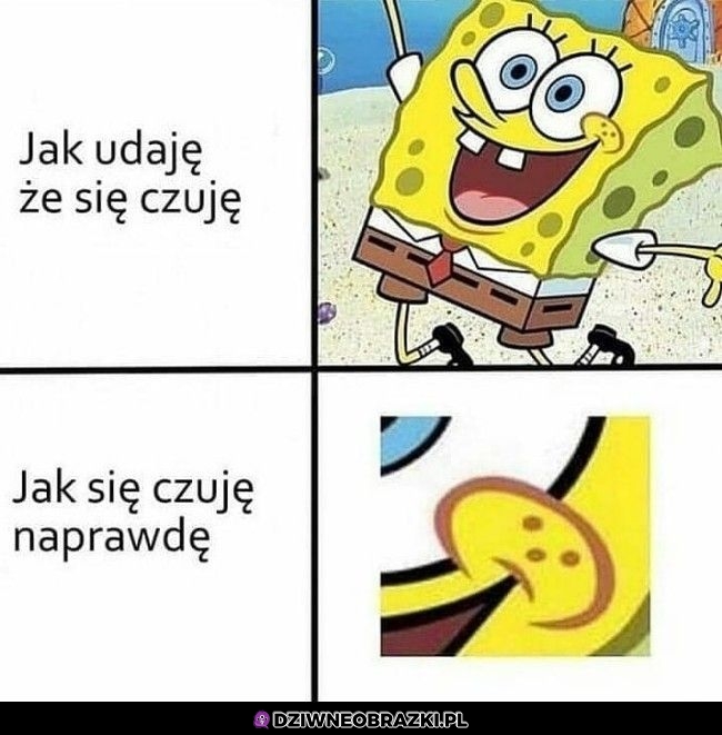 Zawsze