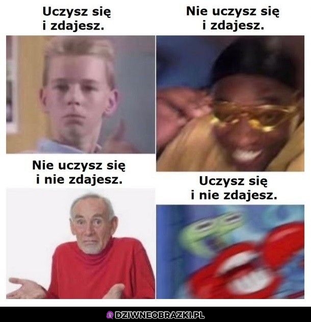 Dokładnie tak