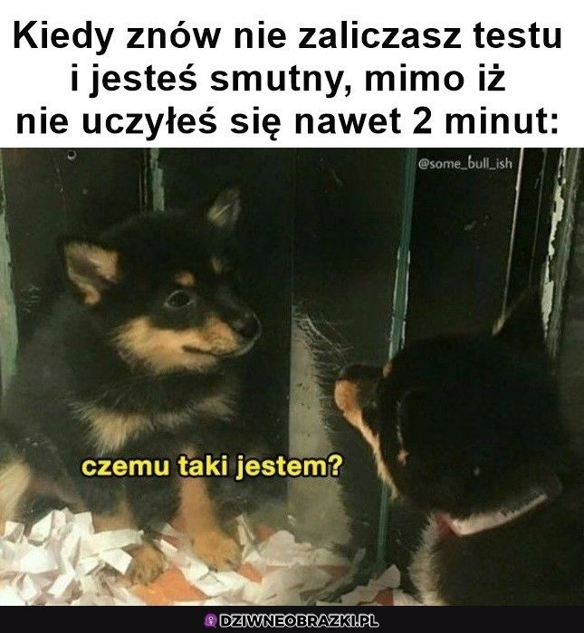 Ten moment
