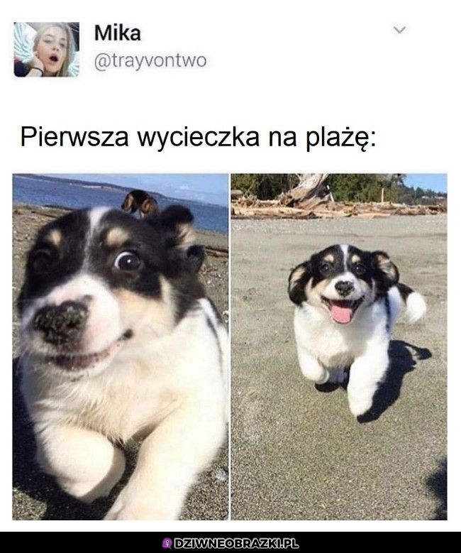 Wycieczka na plażę