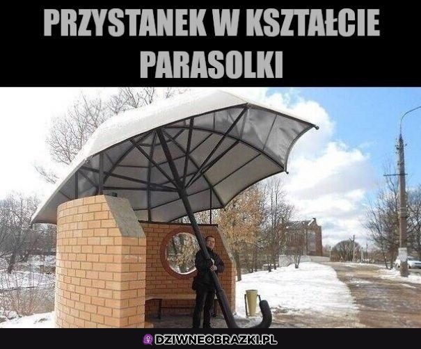 Zajebisty