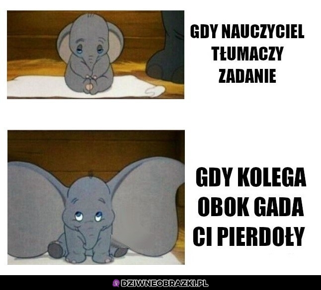 Nasłuch