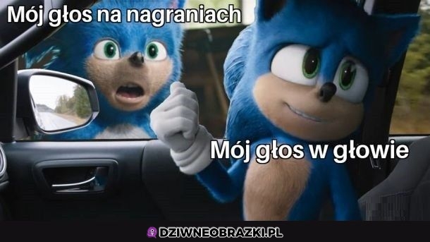 Mój głos