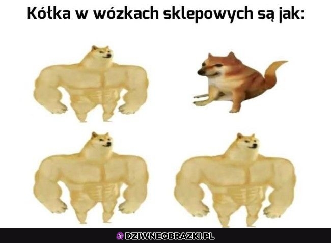 Dokładnie tak