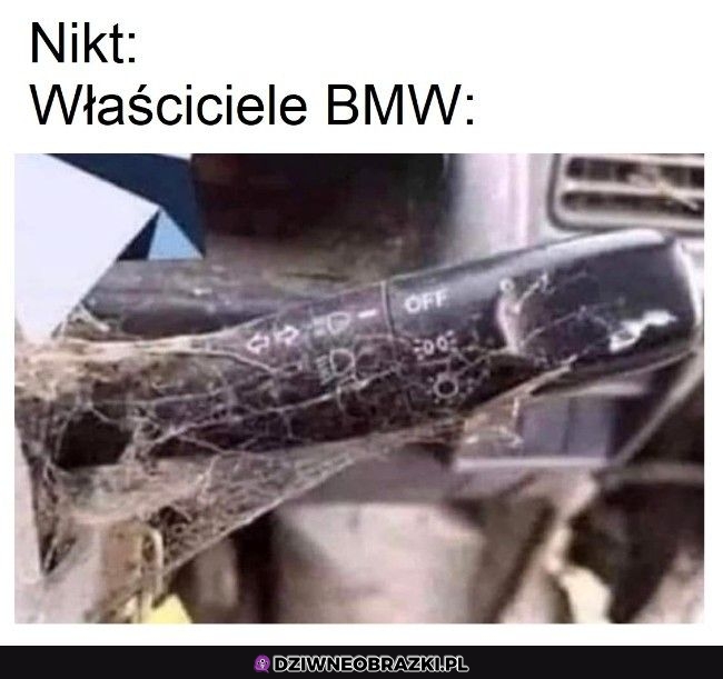 Zapomniana wajcha