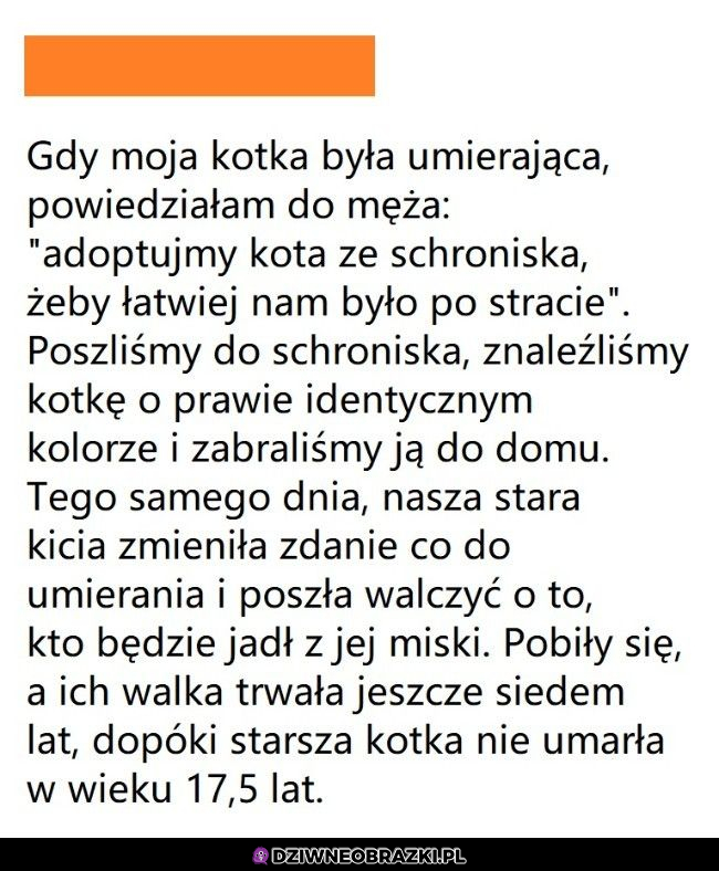 To nie tak miało być, zupełnie nie tak