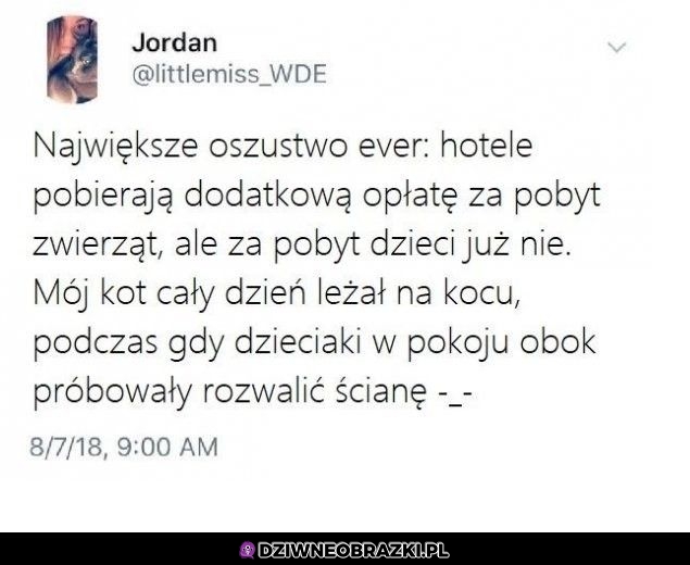 Wielkie oszustwo