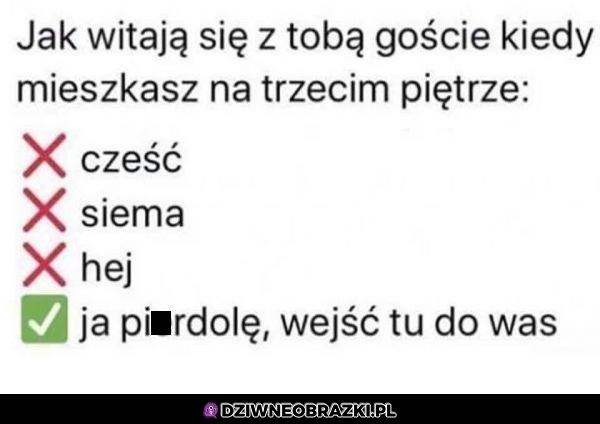 Przywitanko