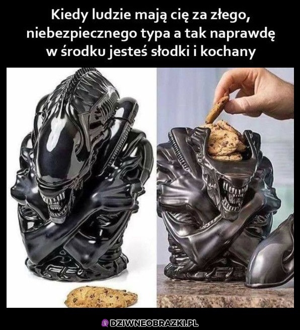 Pozory mylą