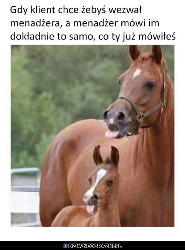 Ten moment