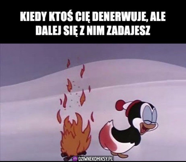 No spoczko