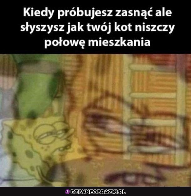 Co parę dni ma fazę