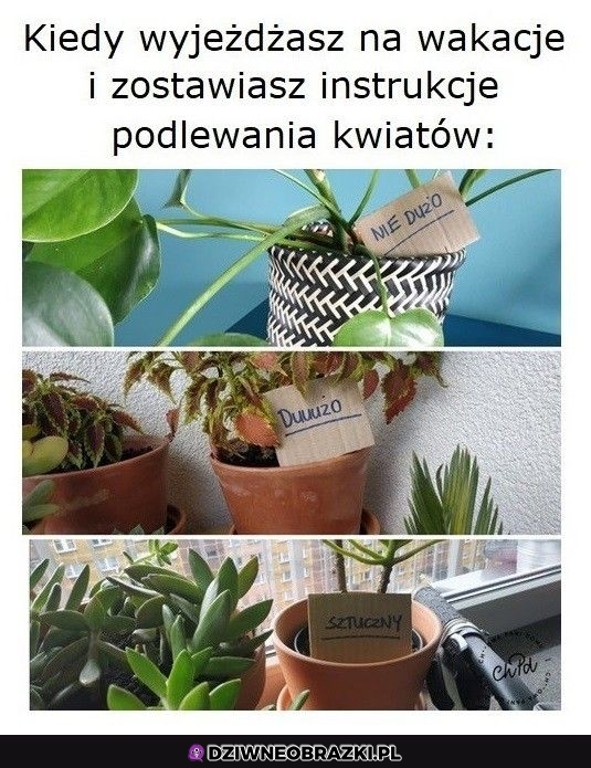 Najlepsza instrukcja