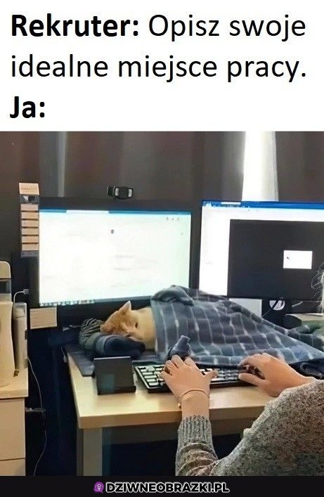 Najlepsza miejscówka