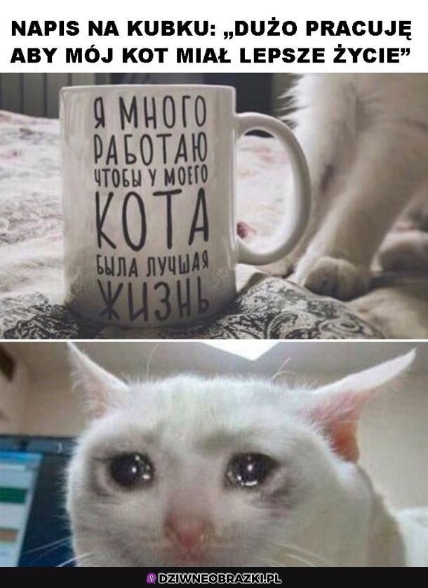 Dokładnie to samo robię
