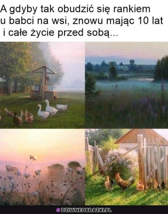 Byłoby super