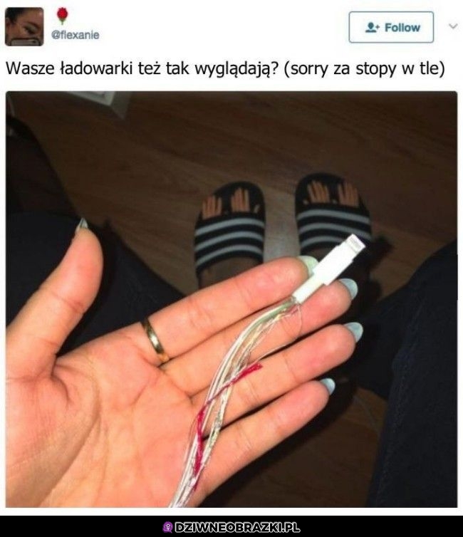 Dziwna ta ładowarka