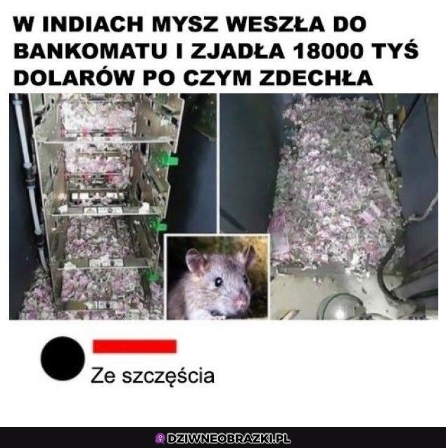 Pieniądze szczęścia nie dają