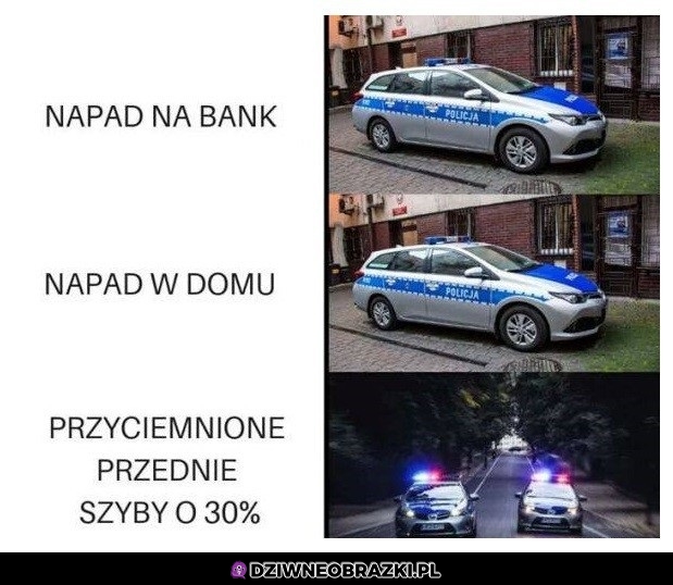Polska policja