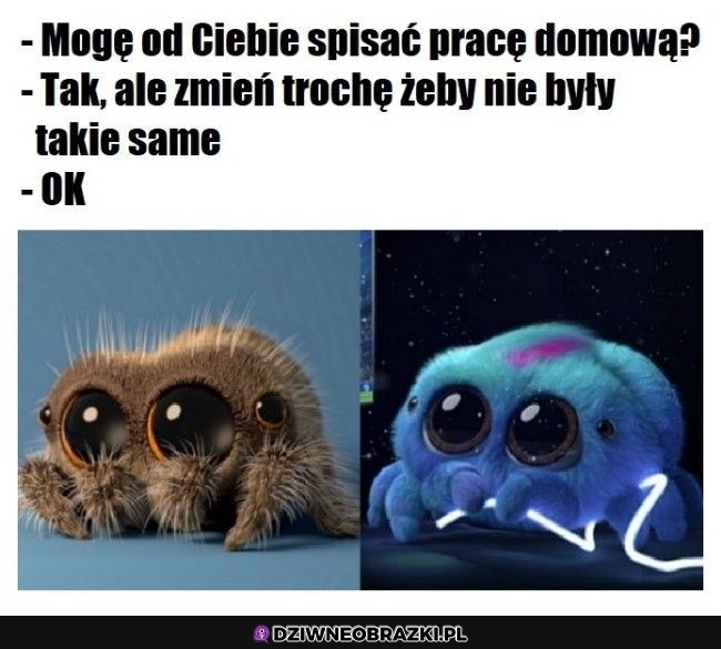 Kiedy kopiujesz czyjąś pracę