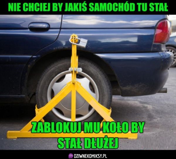 Logika straży miejskiej