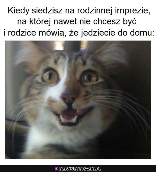 Ten moment