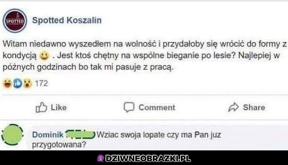 Propozycja