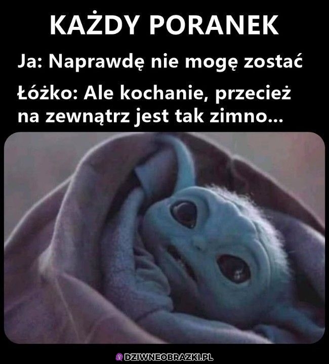 Kusi codziennie