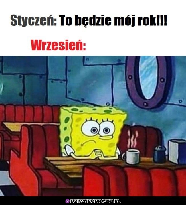 No jednak nie tym razem