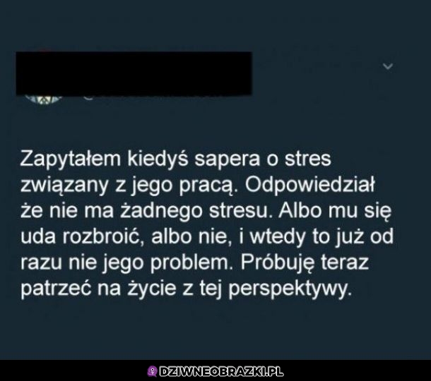 Nie ma się czym stresować