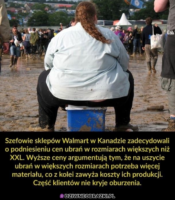 Sieci na wieloryby drożeją