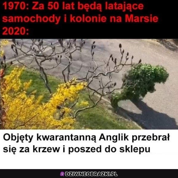 Geniusz