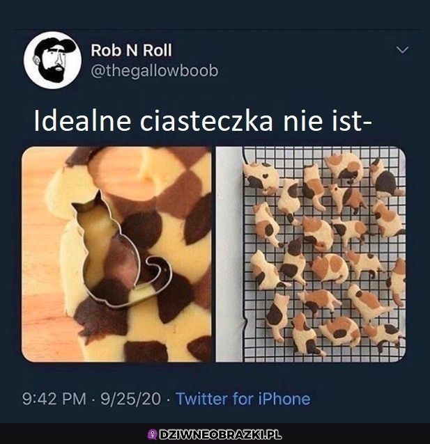 Zajebiste ciasteczka
