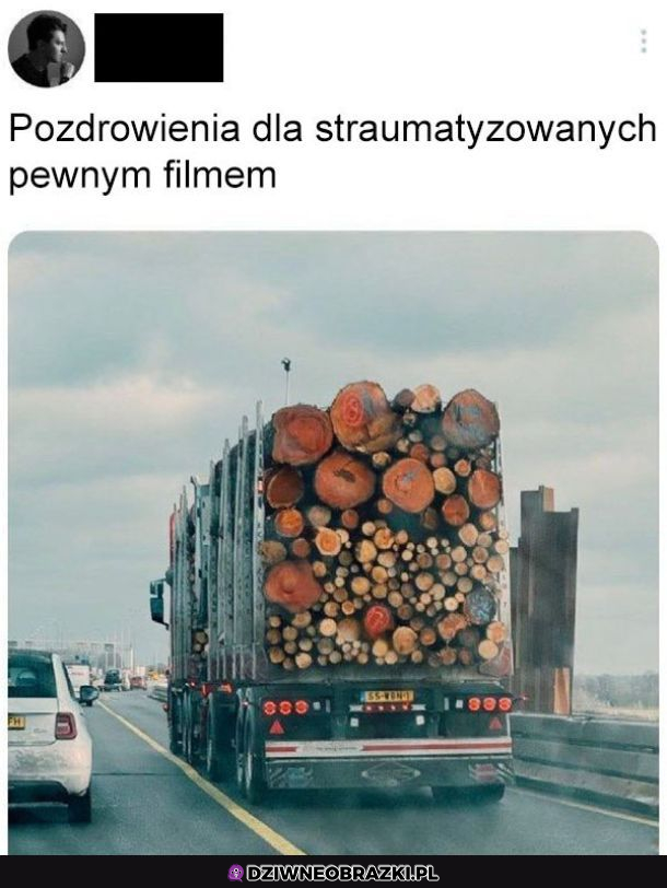 Oglądałeś?
