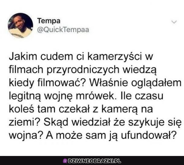 Tyle pytań bez odpowiedzi