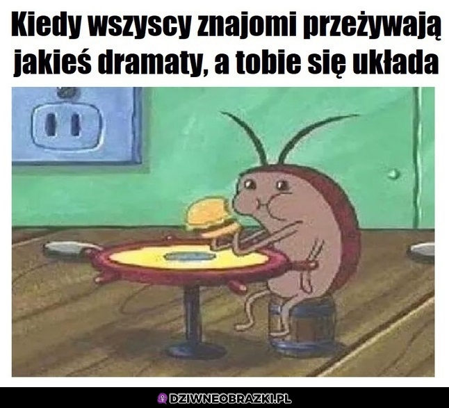 Jest spoko