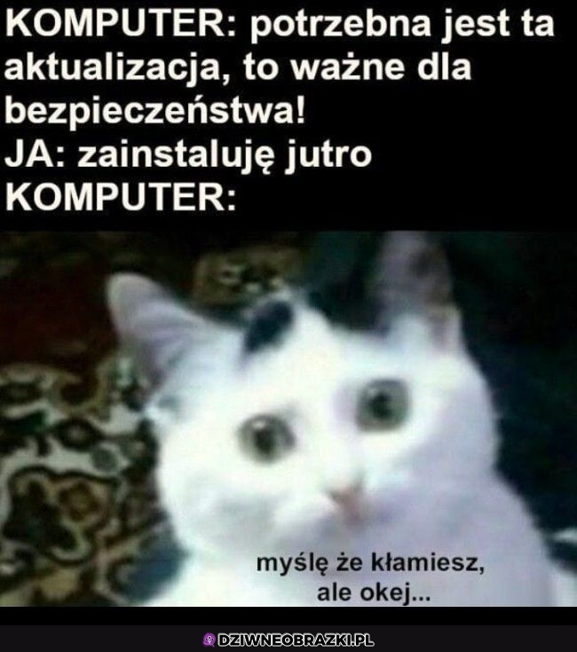 Kiedy masz aktualizację