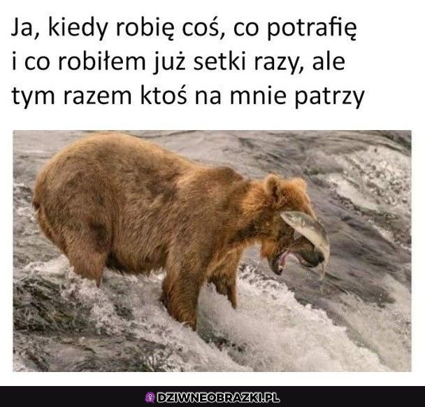 Zawsze to samo