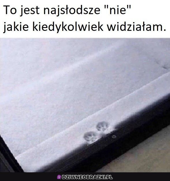 Nigdzie nie idę