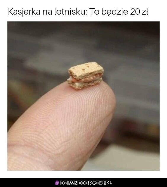 Na lotnisku