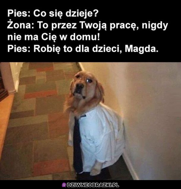 Co się dzieje?