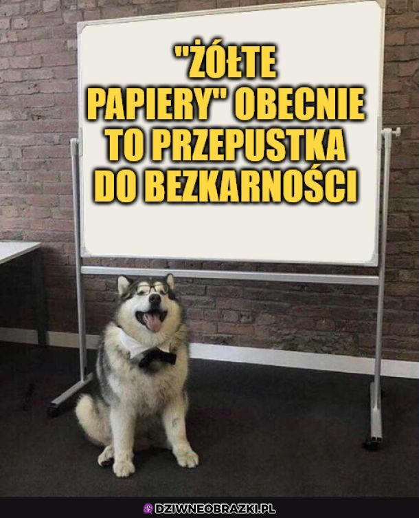 Żółte papiery