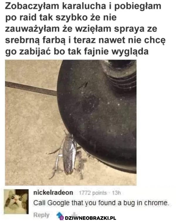 Robaczek