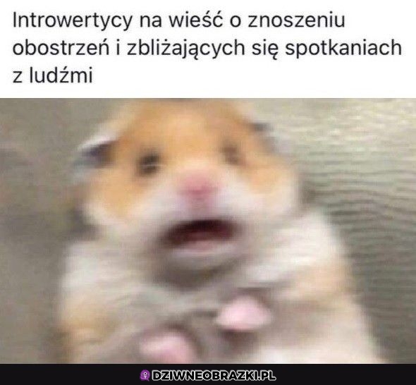 O nie