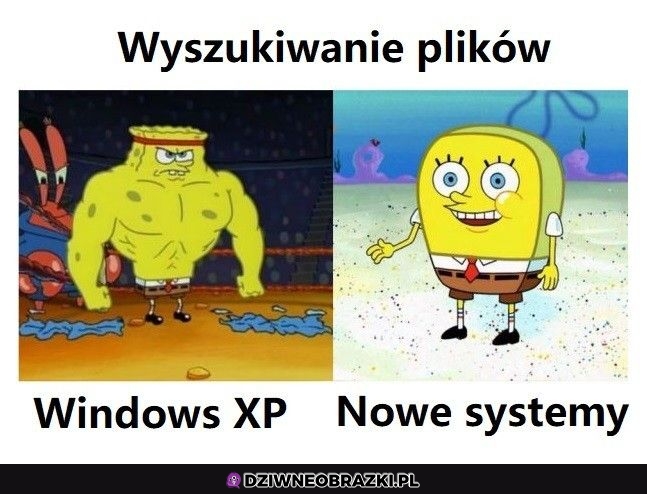 Szukanie plików