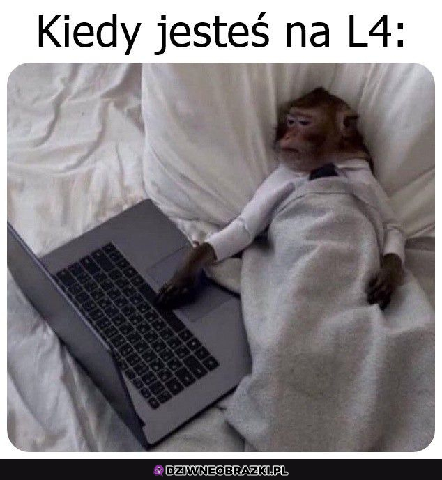 Ja na l4